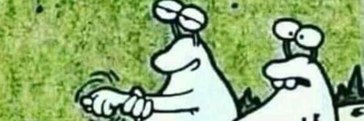 ufkurgn's profile banner image