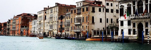 Birrddiiee Profile Banner