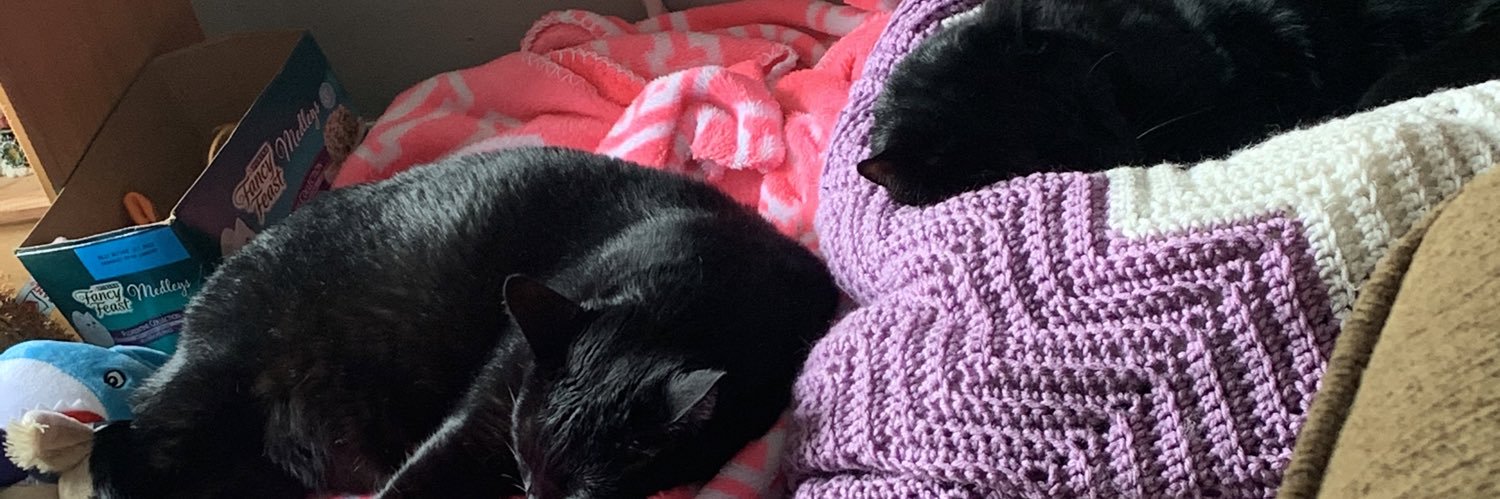 FriedlyAshlyn's profile banner image