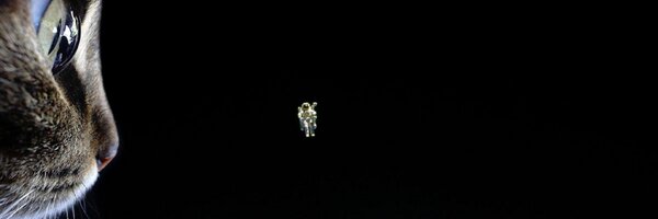 KestutisG Profile Banner