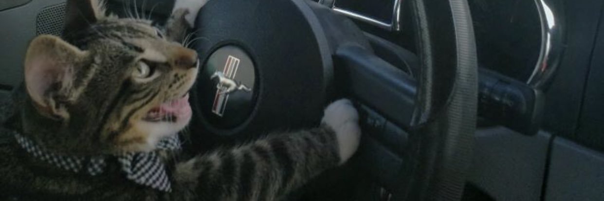 abiggs5's profile banner image