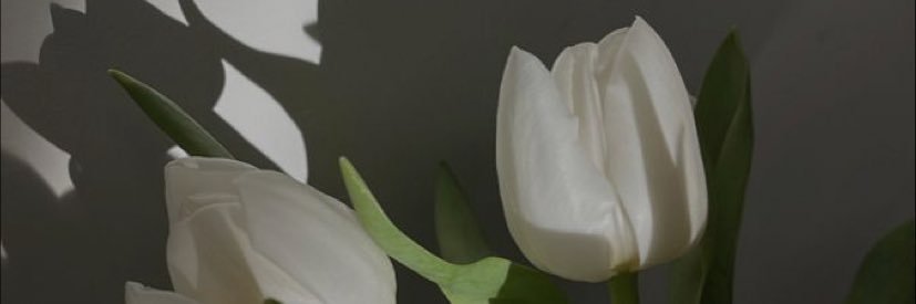 mxman_'s profile banner image