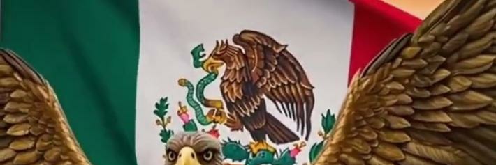 NECEQUI's profile banner image