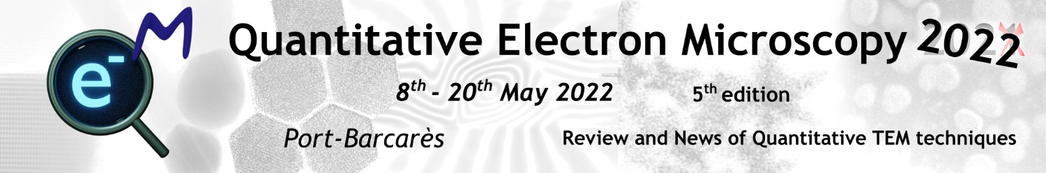 QEM2025's banner