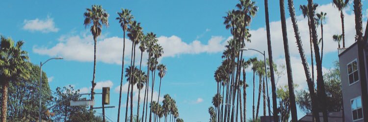 Merssdz's profile banner image