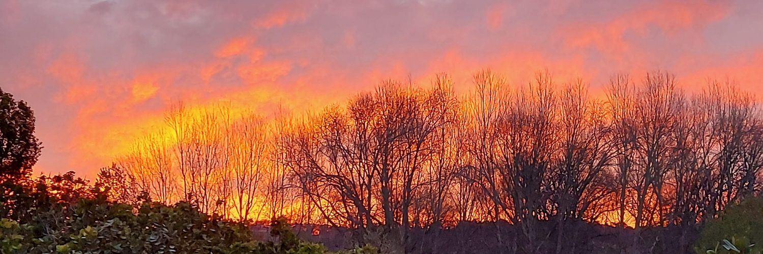 lpwright_33's profile banner image