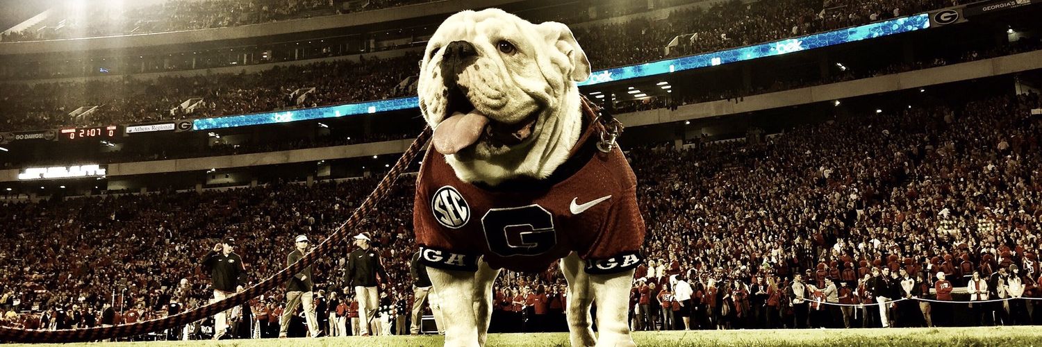 BeardDawg banner