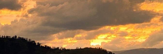 T14979342's profile banner image