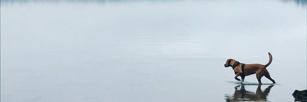 ClaraHBWilson Profile Banner