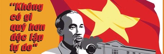 Vy Tom banner