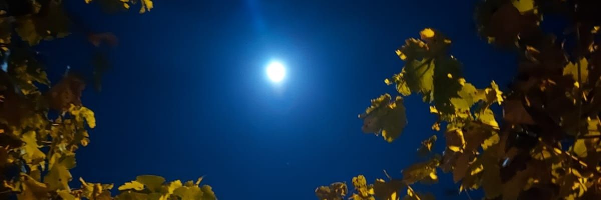 RafaGimen's profile banner image
