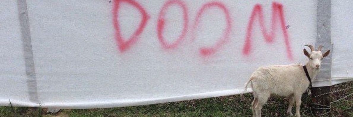 nan banner