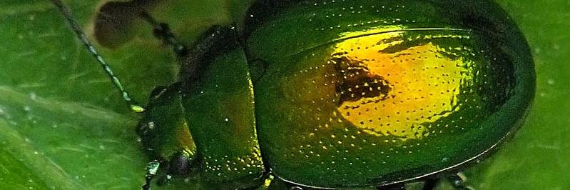mitochondriaZ's profile banner image