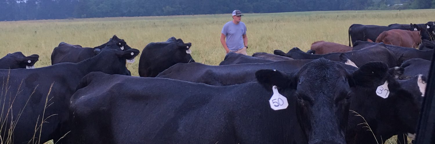 KalebWilson74's profile banner image
