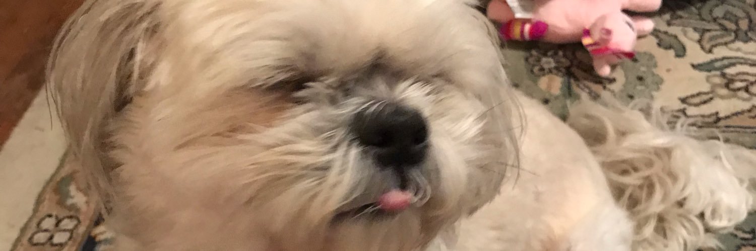 jrsgrlfor88's profile banner image