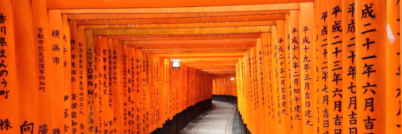 Adelita San Vicente banner