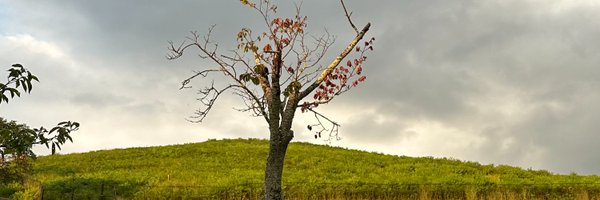Ox_SBM Profile Banner