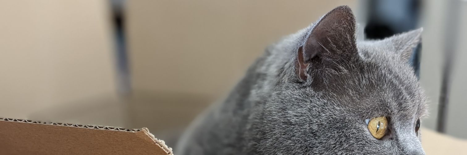Pe27ach's profile banner image