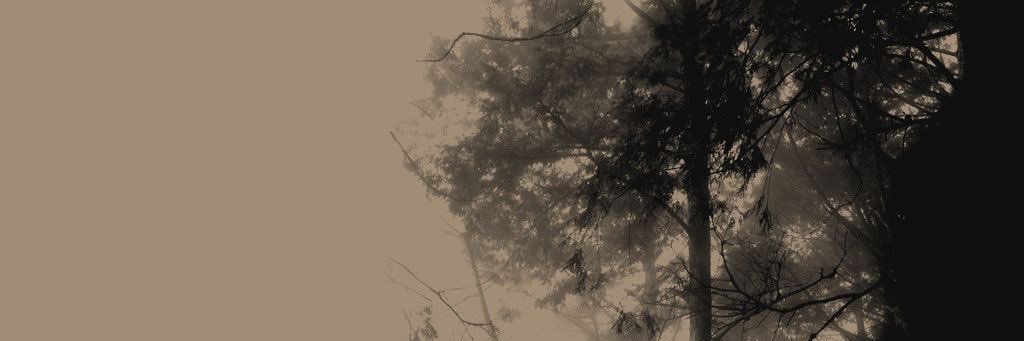 _mz211's profile banner image