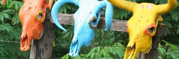 Cmjourno Profile Banner