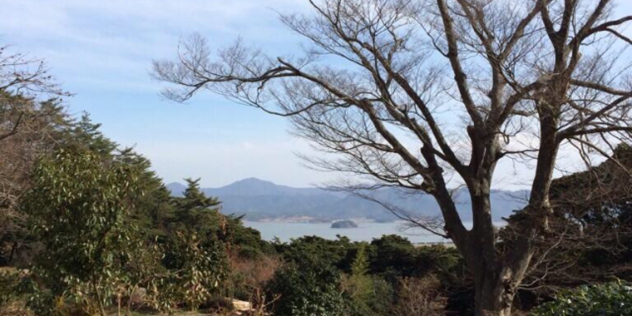 helly7771's profile banner image