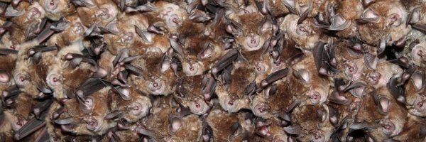 hoytlab1 Profile Banner
