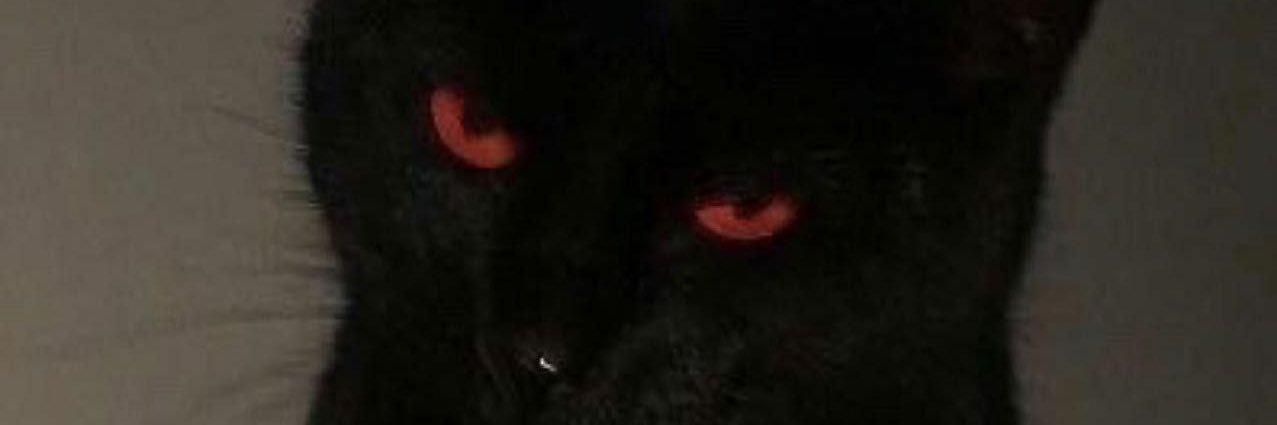 BerkinKa's profile banner image
