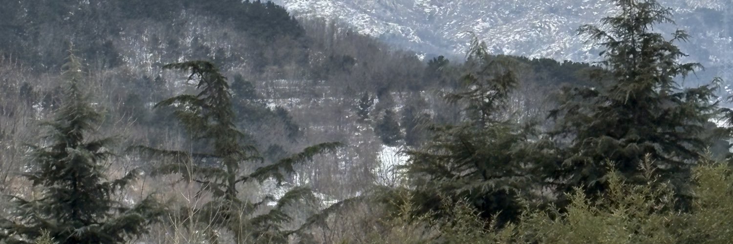 blkwidowme's profile banner image
