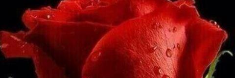 maathani's profile banner image