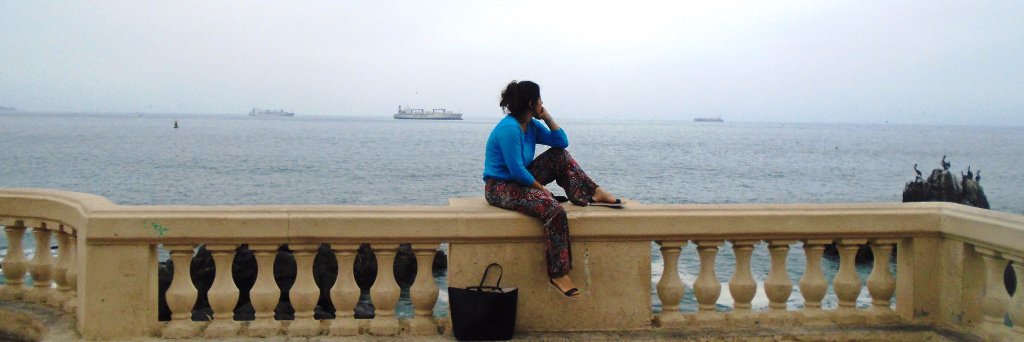 luciaricaldoni's profile banner image