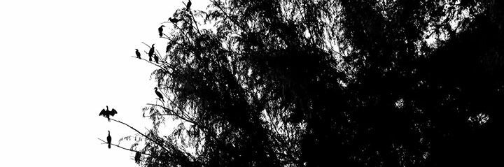 gabocampo's profile banner image