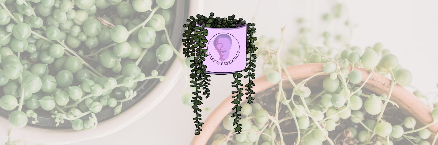 celesteessco's profile banner image