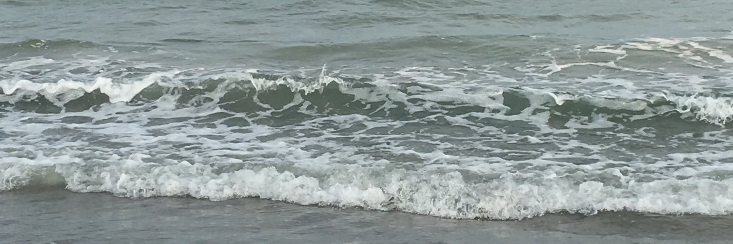 Jenny Douglas banner