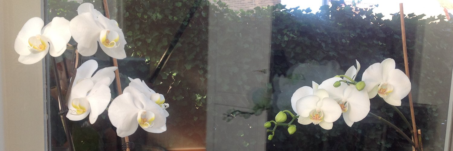 0603Anne85's profile banner image