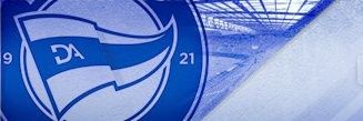 Alavesismo's profile banner image