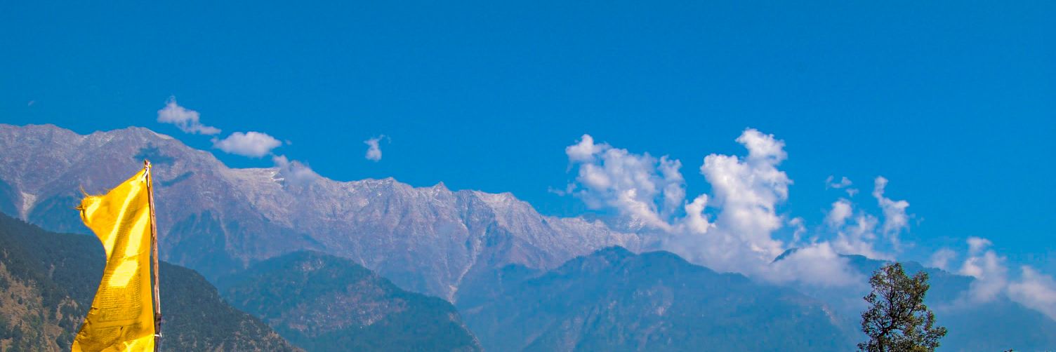 deepikacathy's profile banner image