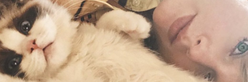 tashetasha's profile banner image