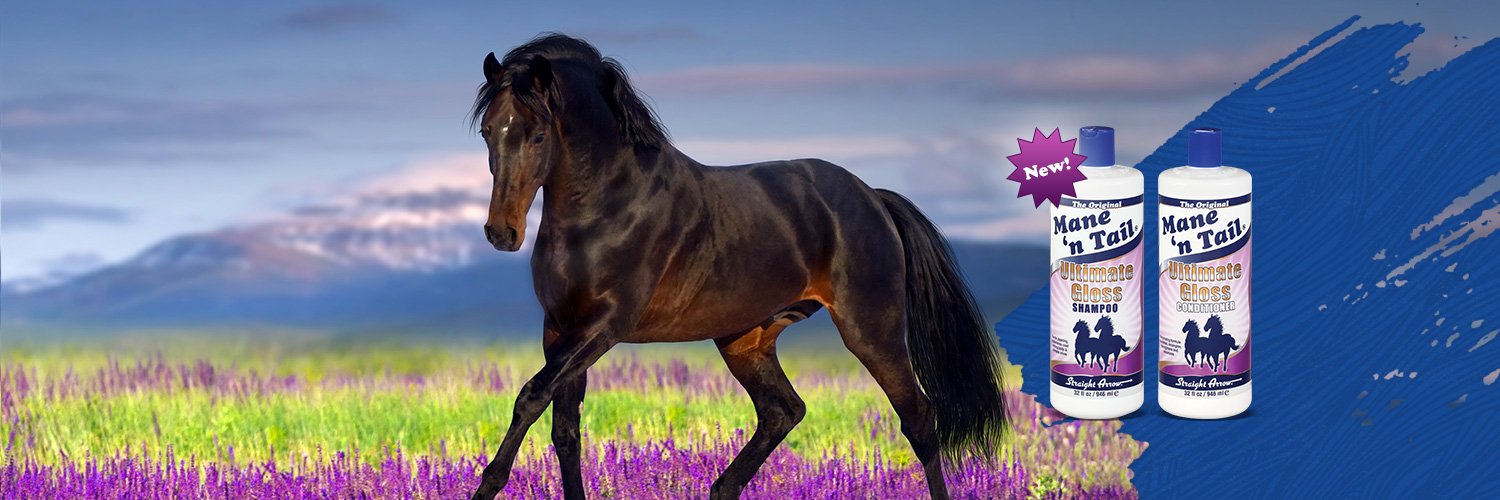 ManenTailEquine's profile banner image
