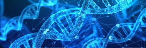 AHernando_Calvo banner