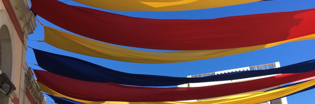 NashSuzanne's profile banner image