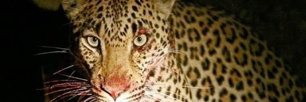 bullyiza Profile Banner