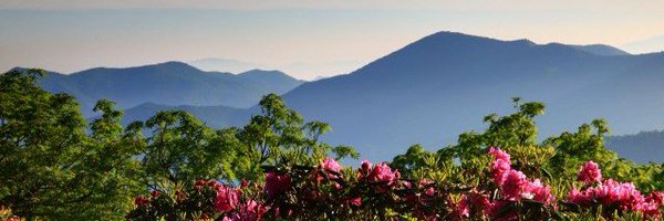 juliaknicholas Profile Banner