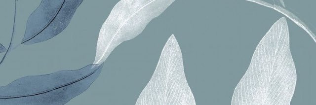 MartinaVisentin banner