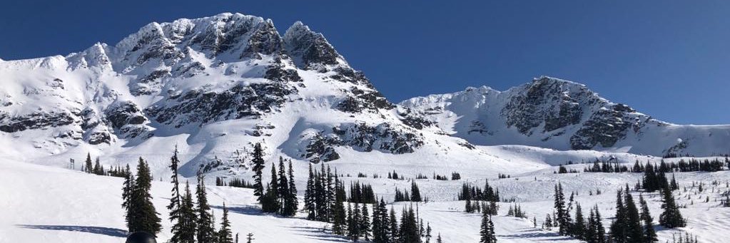 David Coddington banner