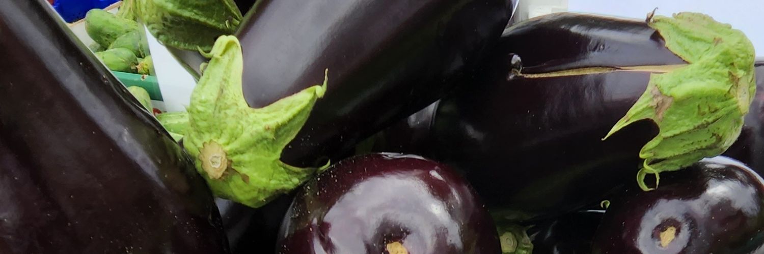 SeedingChicago's profile banner image