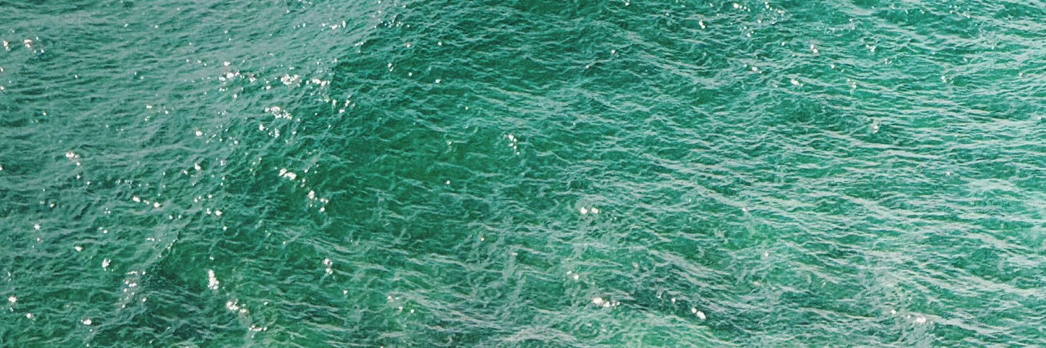 designer cansada banner