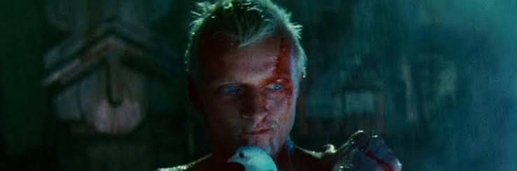 🐓Raytheon Charles banner