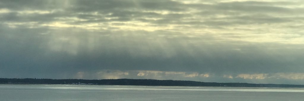 EBeachler's profile banner image