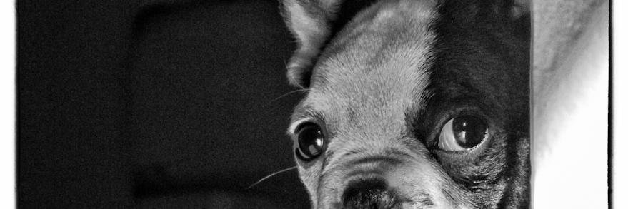 sheyladelein's profile banner image