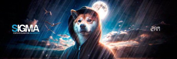 VortekFN Profile Banner